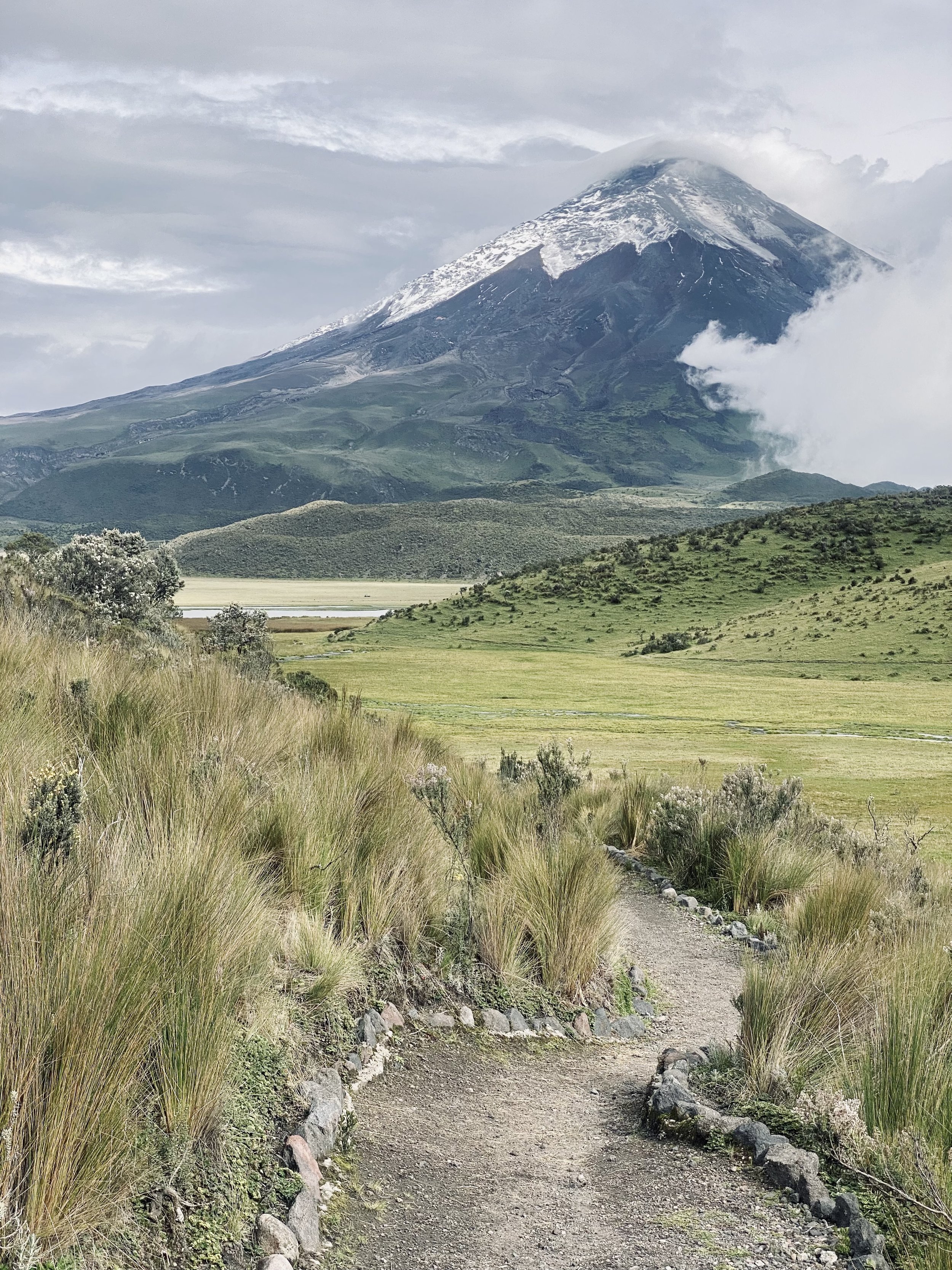 A dirt trail bordered by rocks and tall grasses winds through green fields toward a mountain with snow on its peak, partially shrouded in clouds.