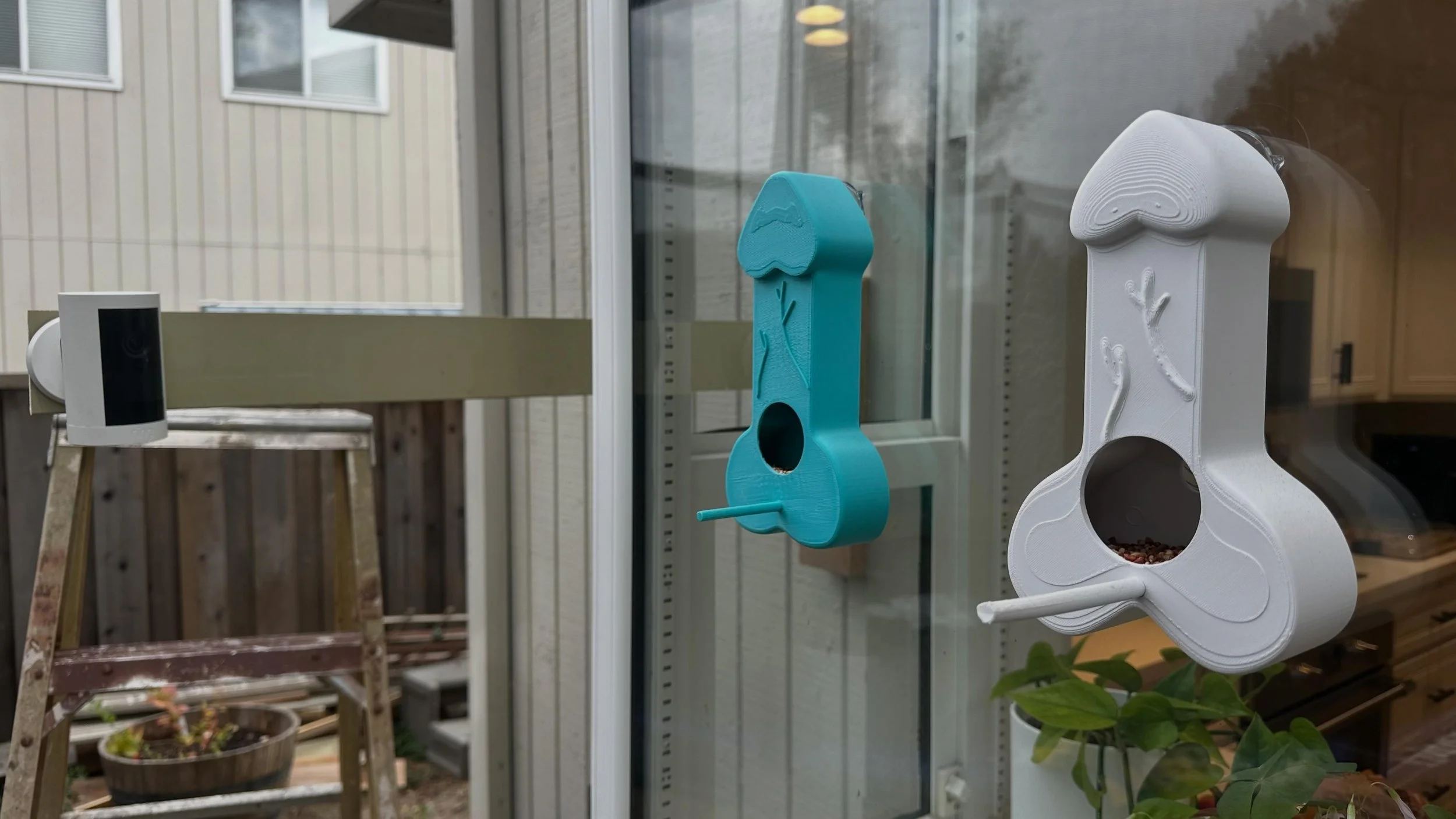 BREAKING NEWS: WE&rsquo;VE INSTALLED A PECKER CAM. 👀📹

That&rsquo;s right. We&rsquo;ve officially taken our bird-watching obsession to a whole new level.

We repositioned our Ring camera to get an up-close, front-row seat to all the action happenin