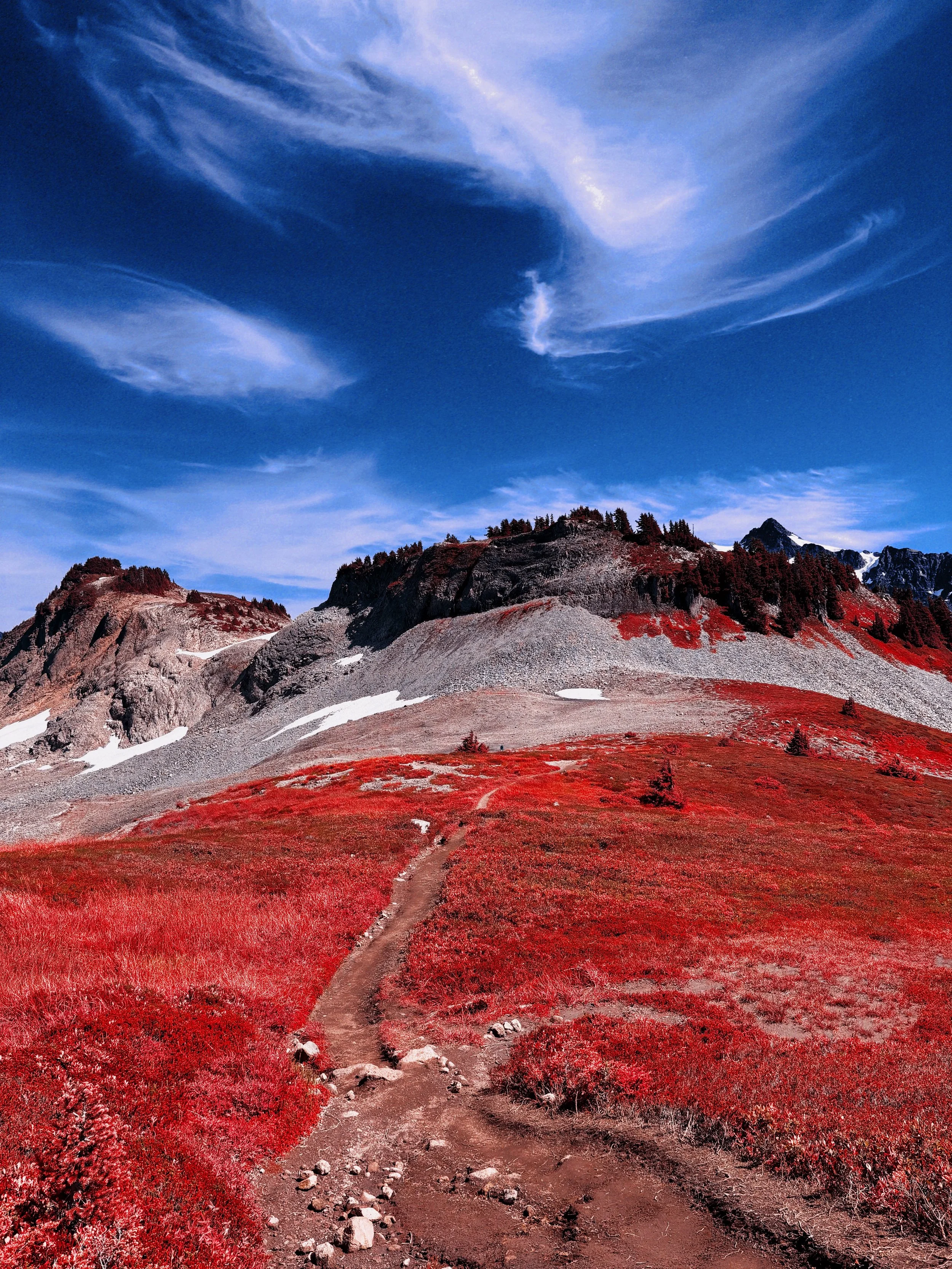 A winding trail through red grass leading to rocky mountains with patches of snow, under a blue sky with wispy clouds.