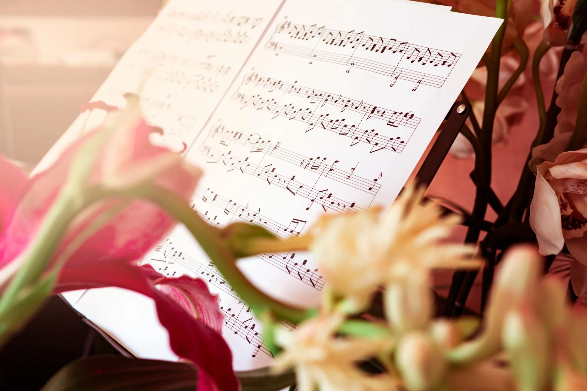 La musique en moi