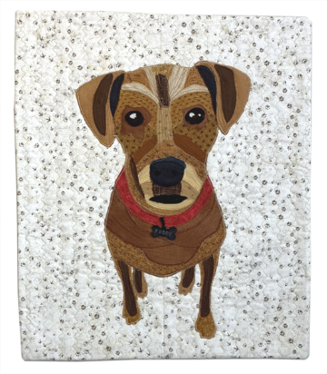 Buddy 23" x 19"