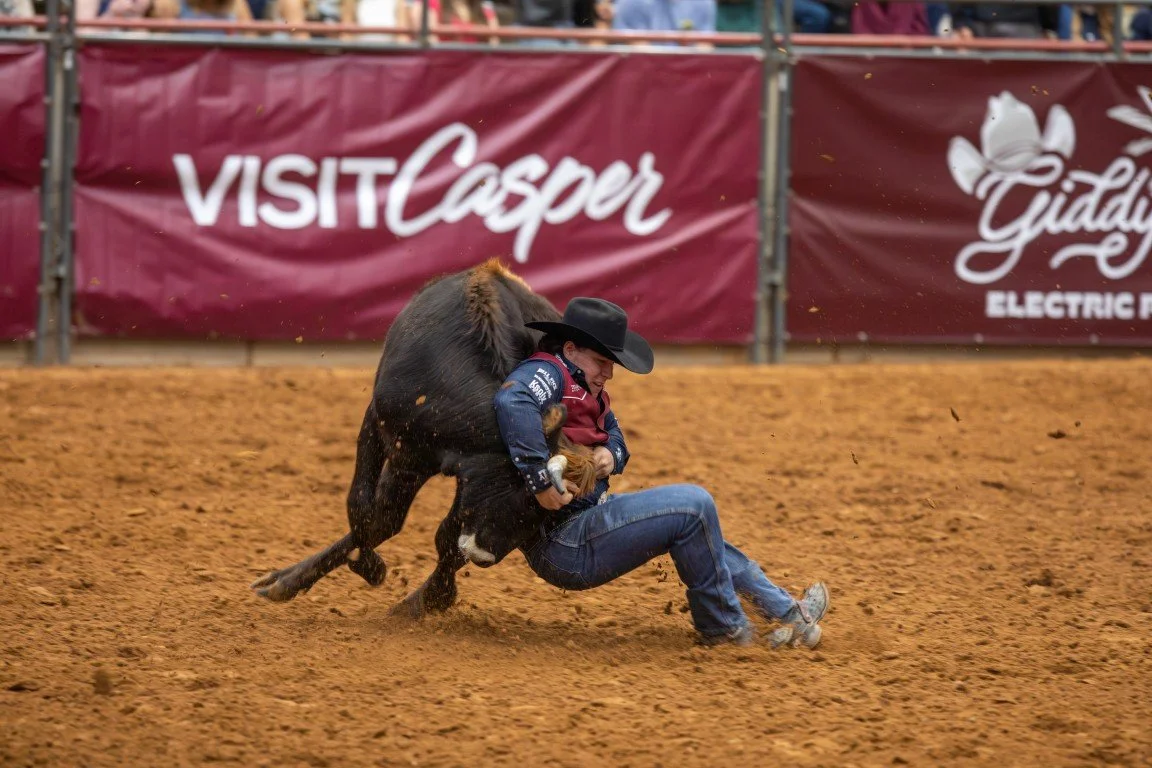A cowboy wearing a black hat and jeans is being tackled to the ground by a young calf at a rodeo arena, with a maroon banner in the background that says "Visit Casper" and "Giddy Up Electric Power."