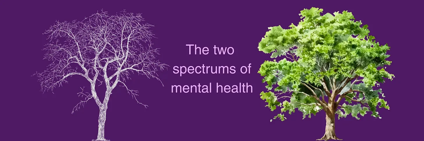 Where workplace mental health policy goes wrong