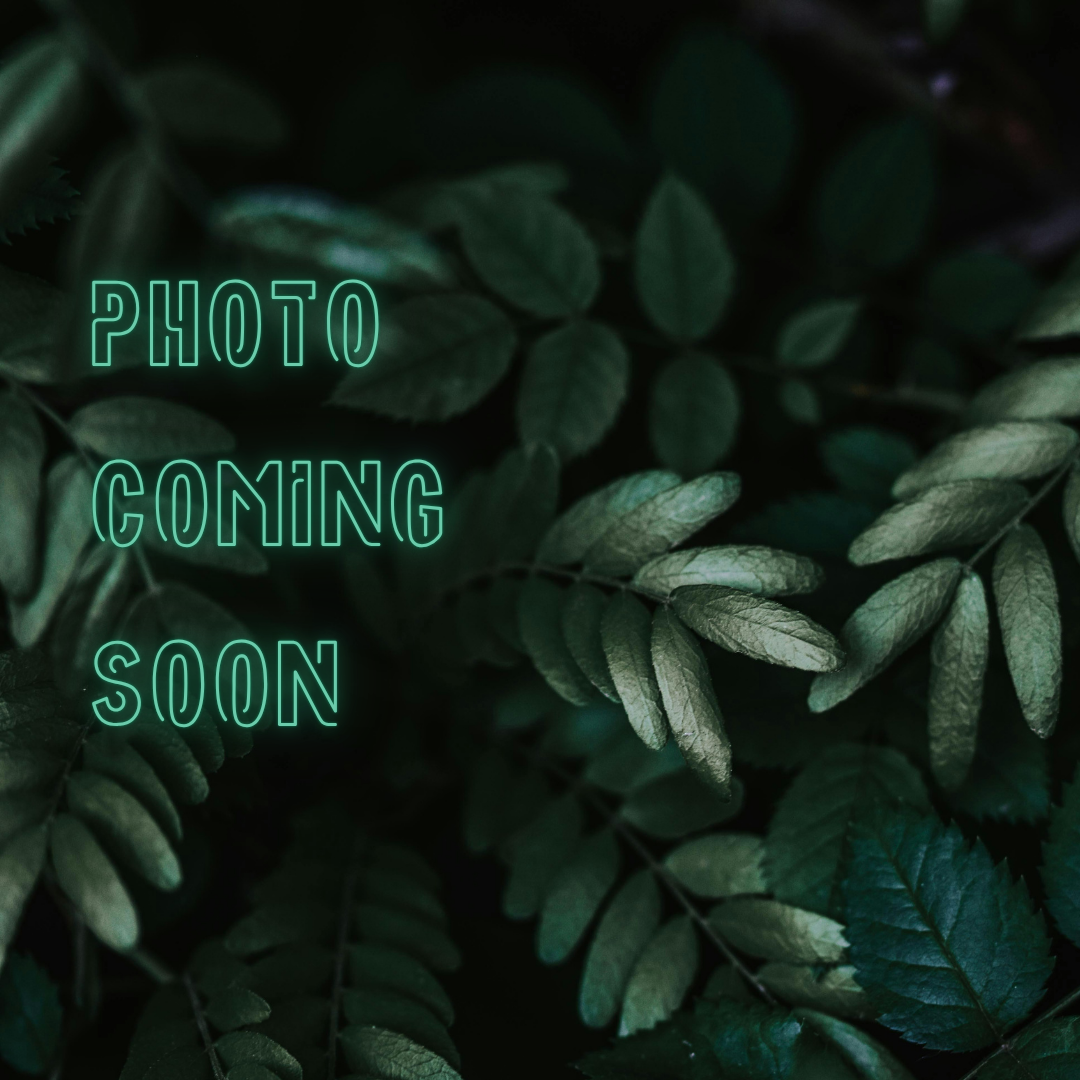 Green leaves with a neon text overlay reading 'Photo Coming Soon' in glowing green font.