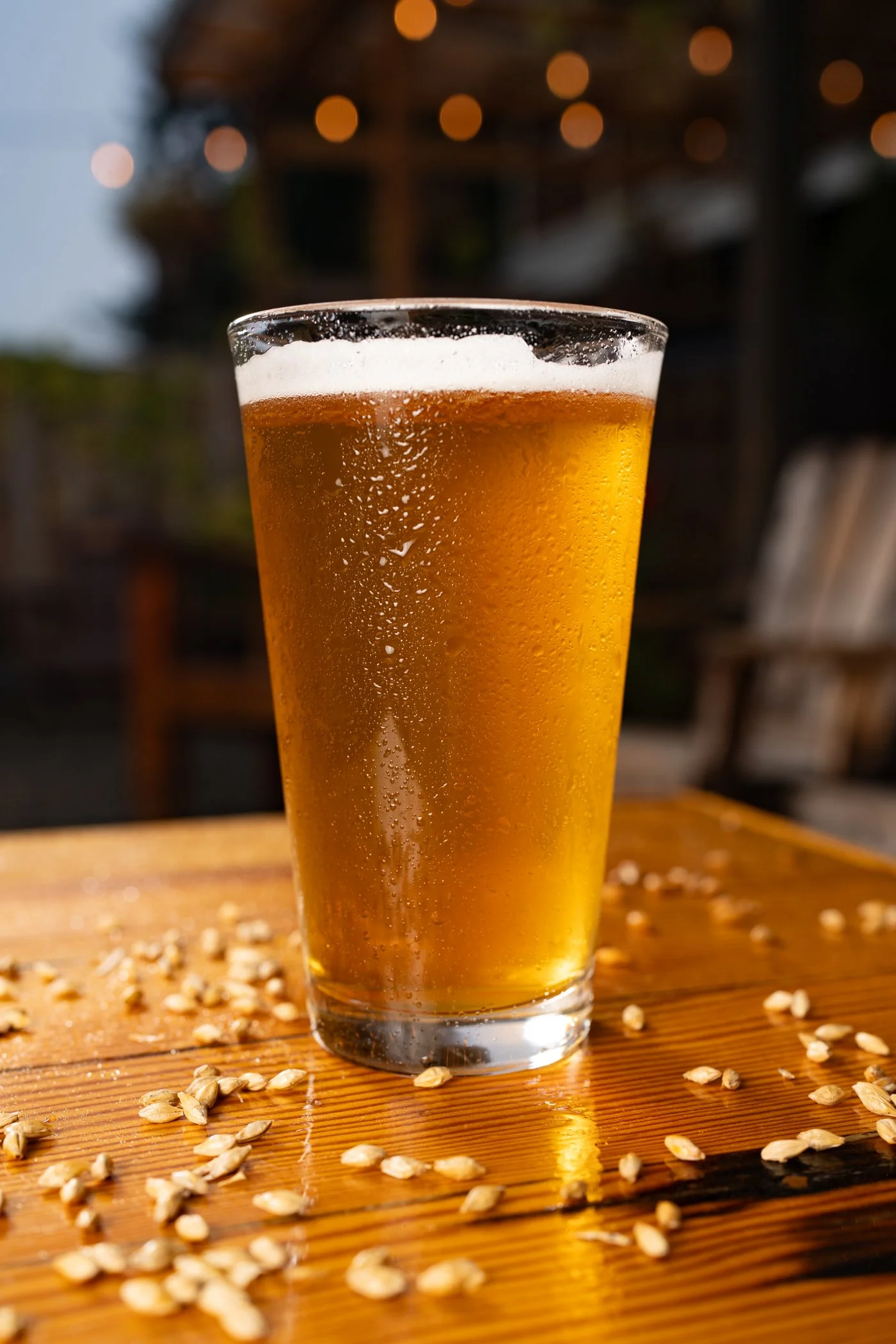 A glass of pale golden beer with a foamy head on a wooden surface, surrounded by scattered barley grains, with a blurred outdoor background featuring warm lighting.