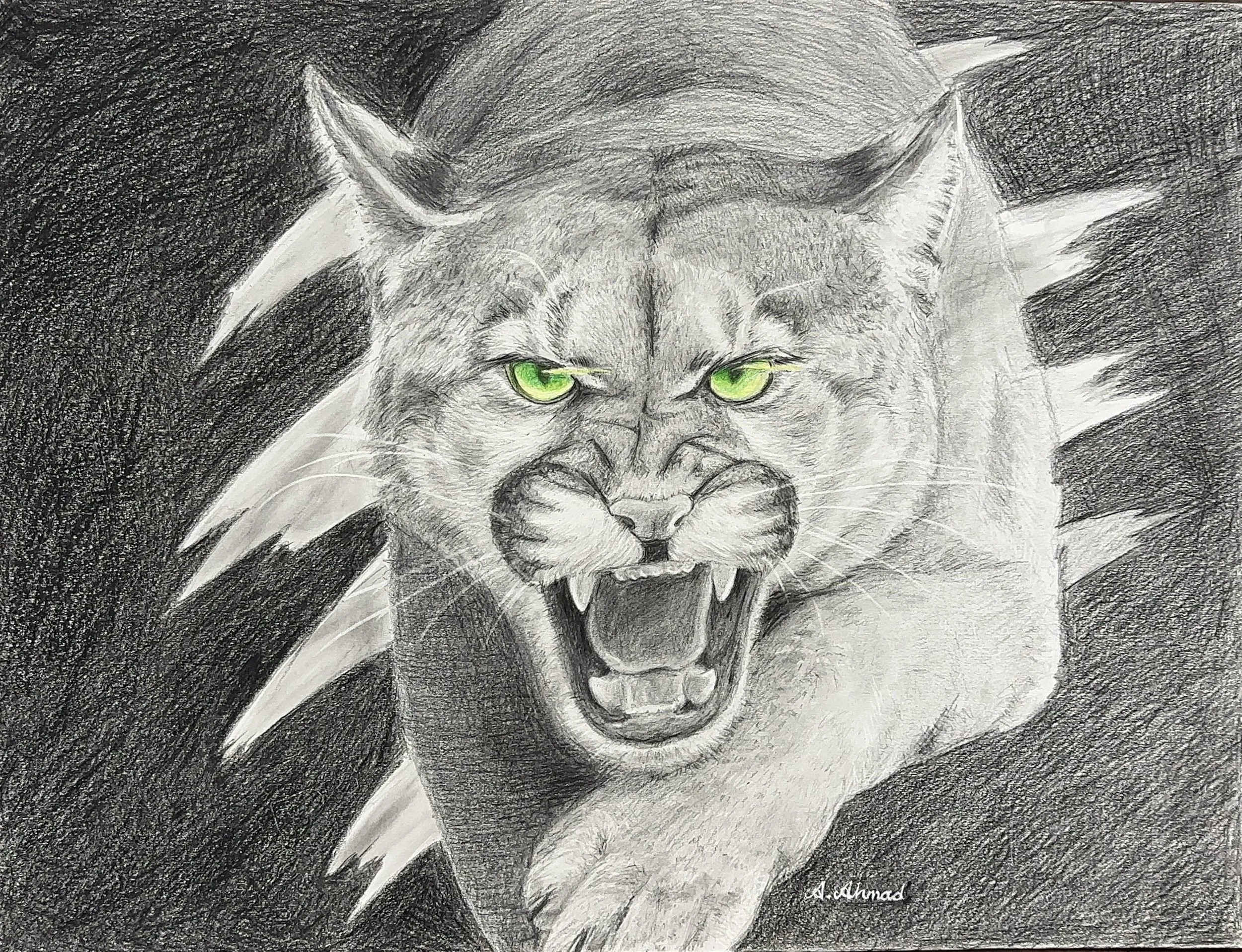 Drawing
