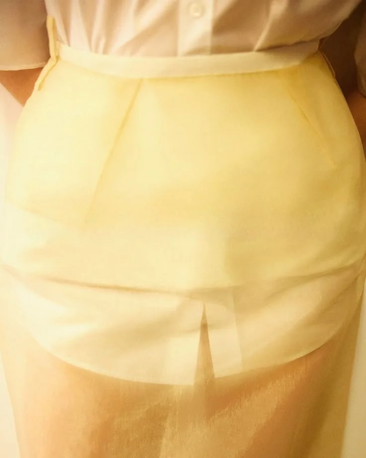 Organza Sheer Skirt