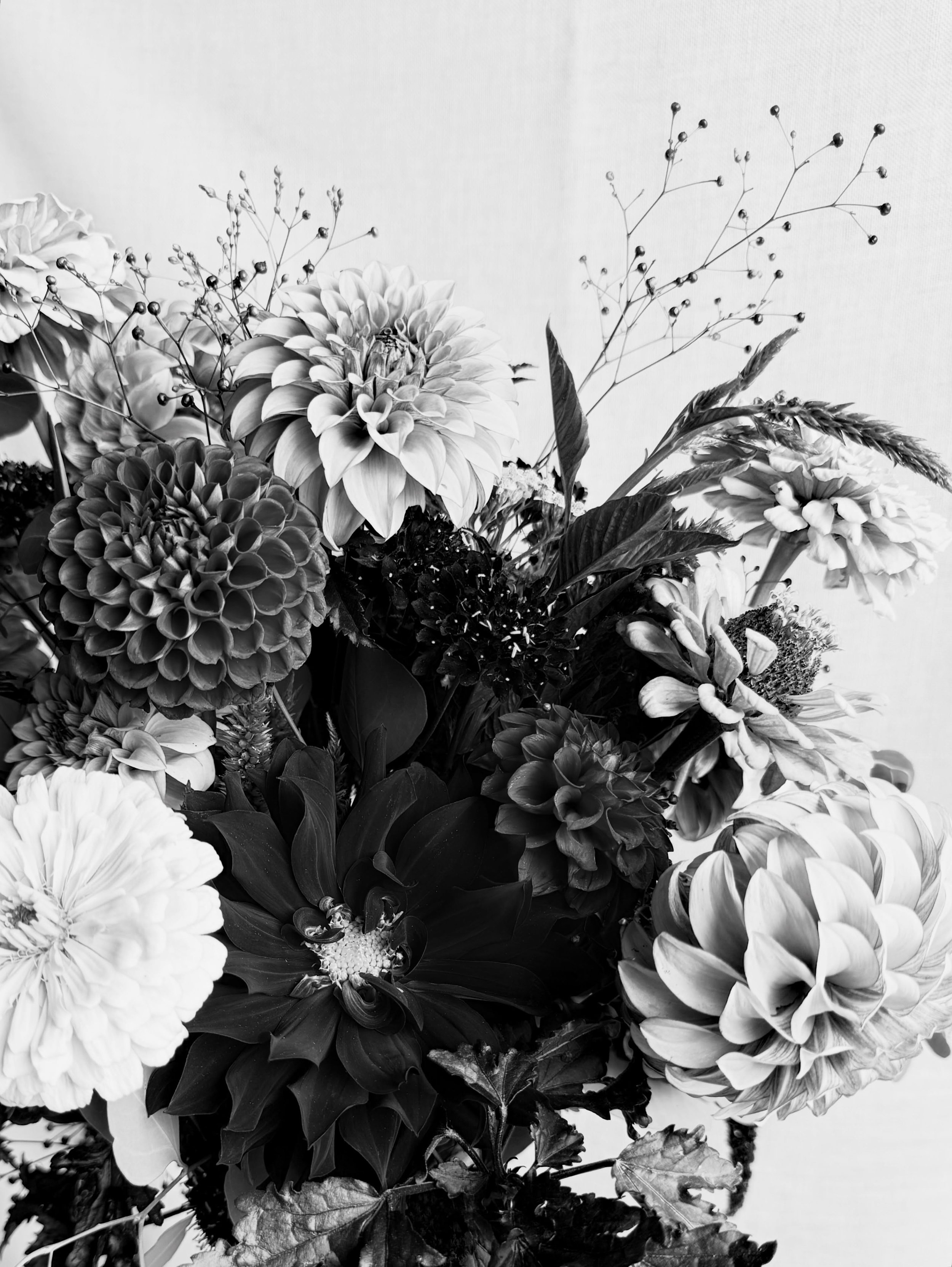 Life is better in color! Happy Fall 🍁#spokane flowers # locally grown!