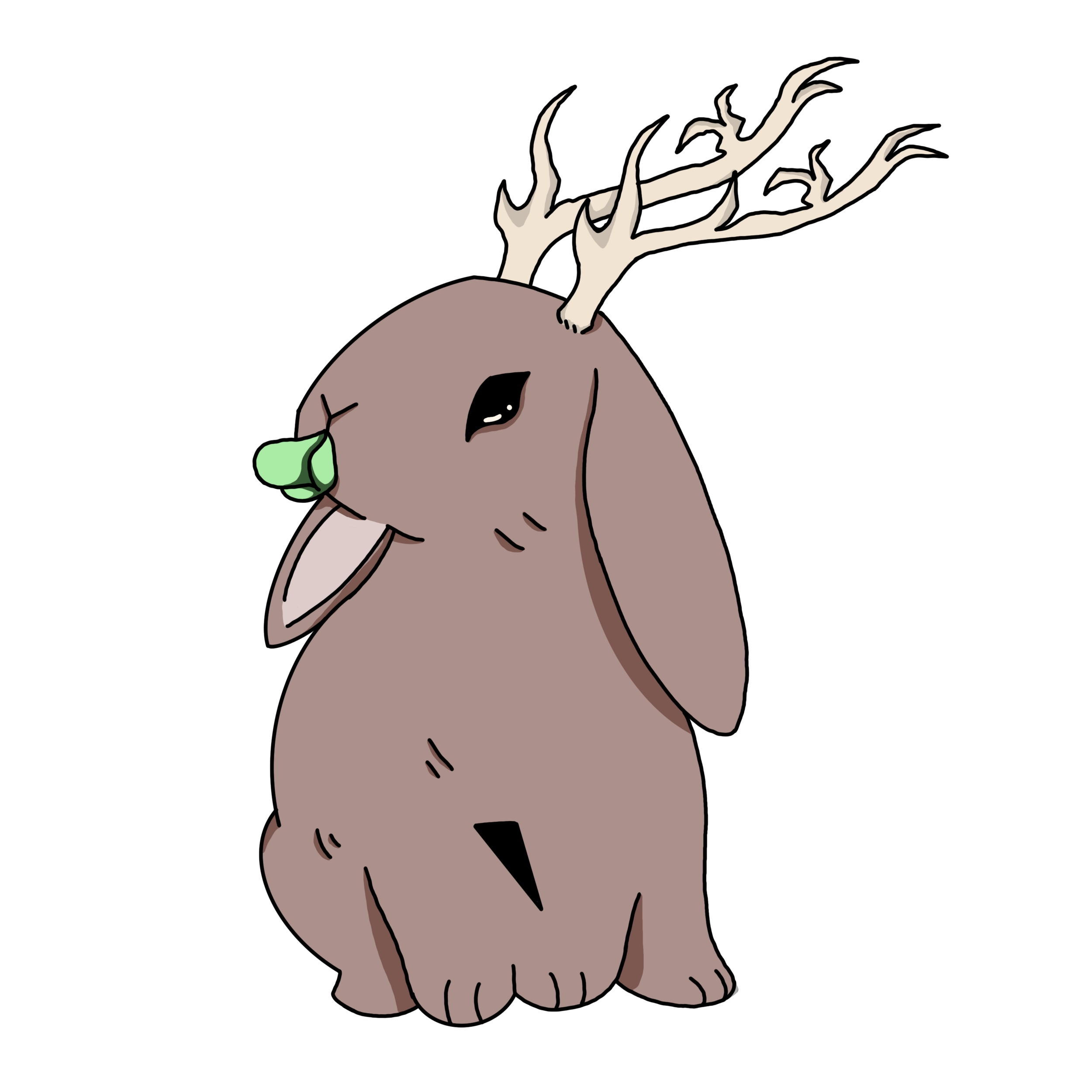 Jack Rabbit