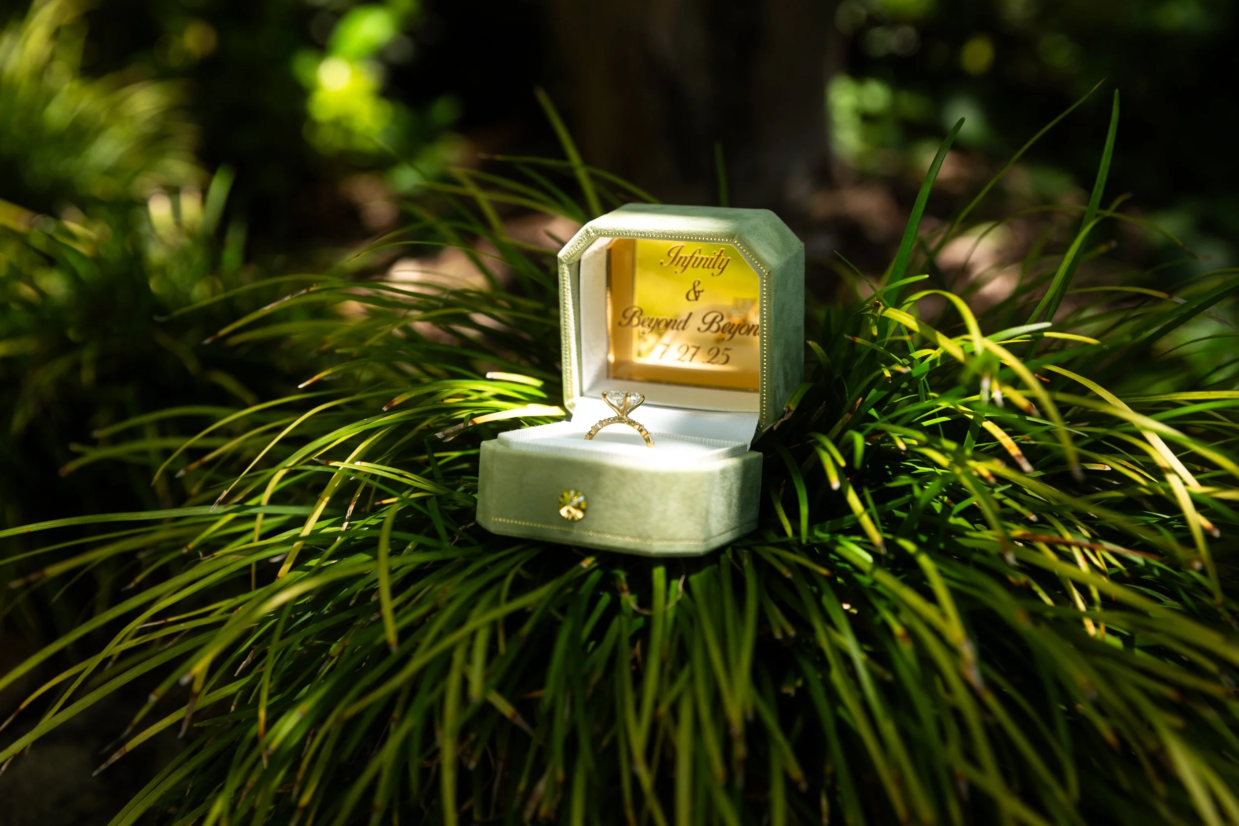 Engagement ring resting in nature, San Diego engagement photographer