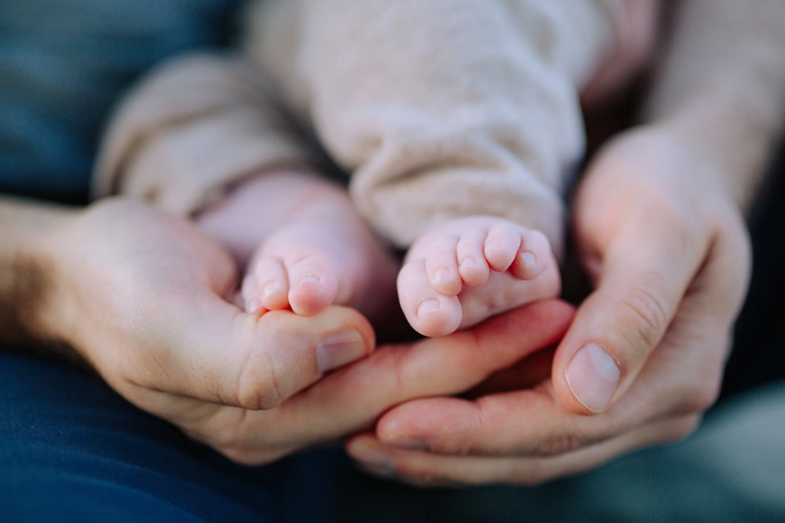 A close-up of an adult holding a tiny baby hand in their palm.