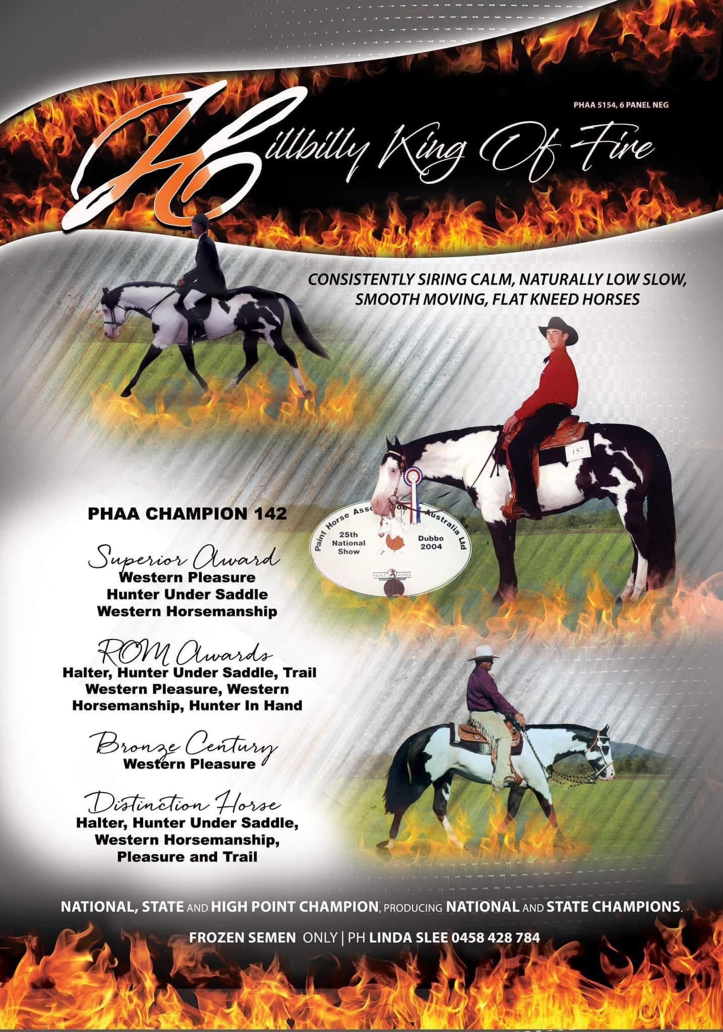 A collage of promotional content for a horse riding event or competition, featuring images of riders on horses, with flames and text describing awards and achievements in Western Pleasure, Hunter Under Saddle, Western Horsemanship, and other categories. There is also contact information and a mention of a person named Linda Slee.
