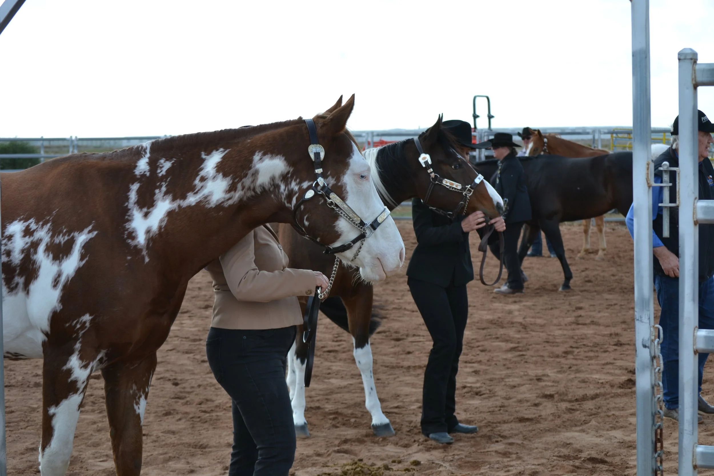 Group of people and horses at a horse event, standing on dirt ground with metal railings and a cloudy sky in the background.