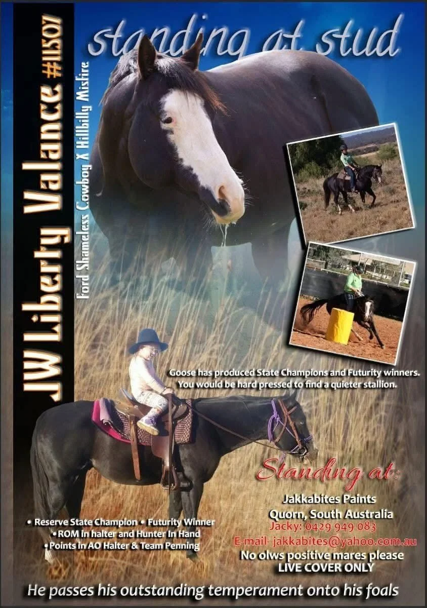 A flyer featuring a horse and children riding horses, promoting equestrian standing activities at Jakkabites Paints in Quorn, South Australia.