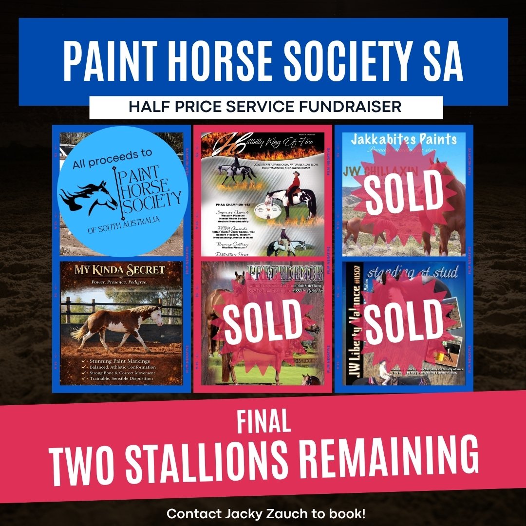Poster for the Paint Horse Society SA Half Price Service Fundraiser featuring several horse-related book covers, with some marked as sold, and text about the event including contact information.