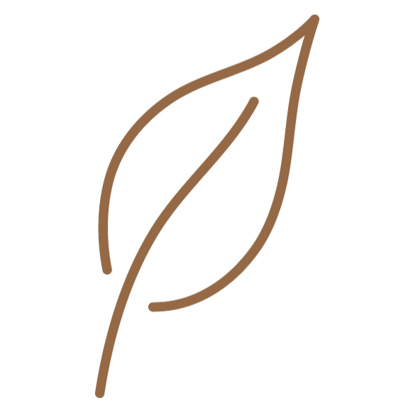 Simple line drawing of two leaves with brown outlines on a black background.