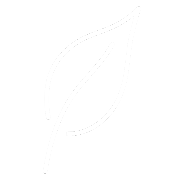 Outline of two stylized leaves with white lines on a black background.