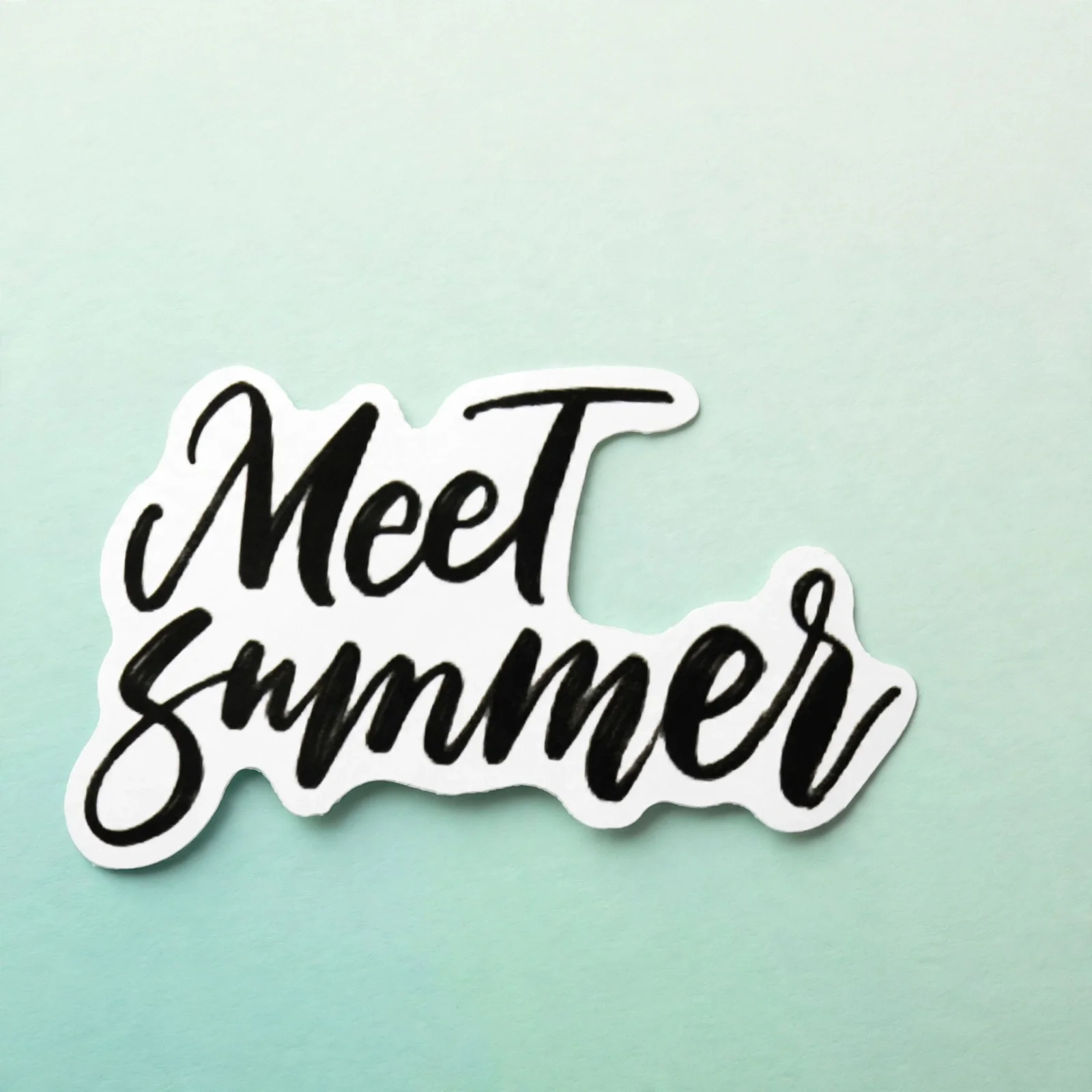 Meet Summer