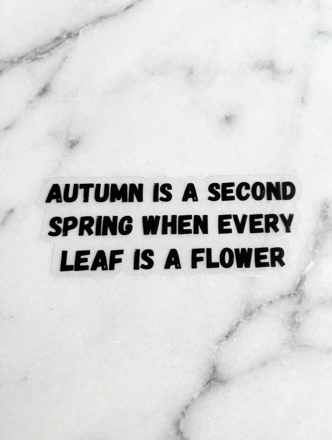 Autumn Is a Second Spring