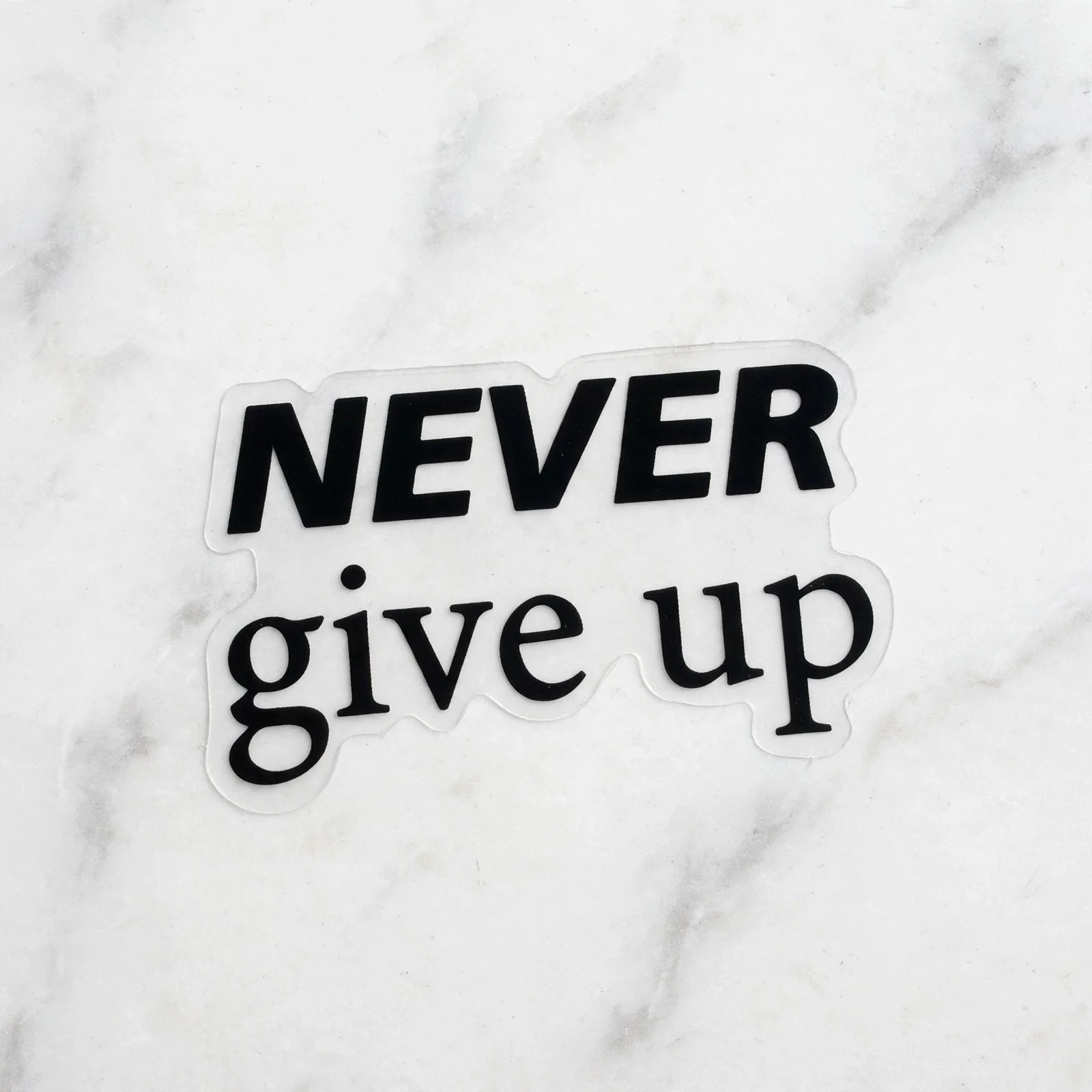 Never Give Up