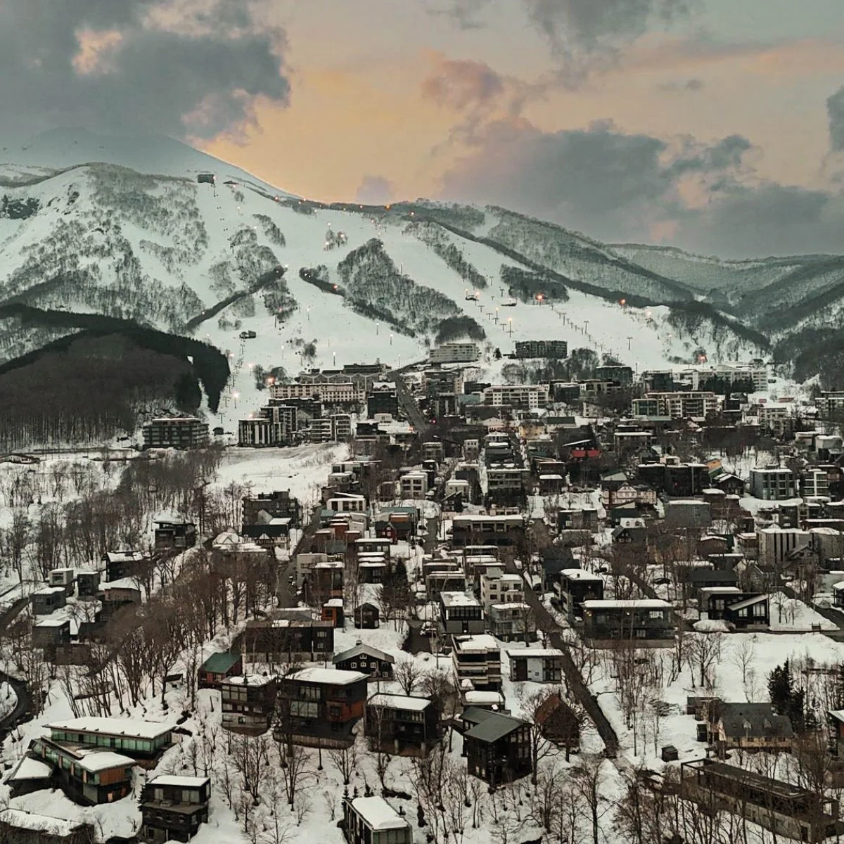 Snow-covered landscape in Niseko, Hokkaido, Japan