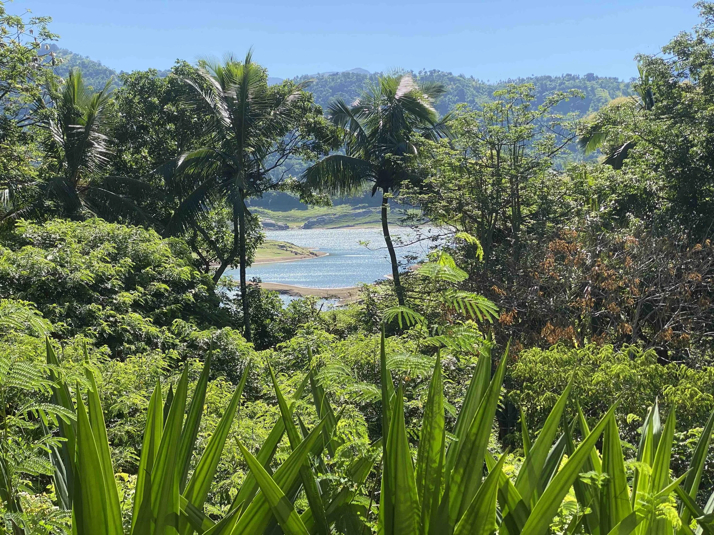 A weekend trip to Rukgala Retreat from The Sapphire Sri Lanka, a luxury rehab centre in Sri Lanka