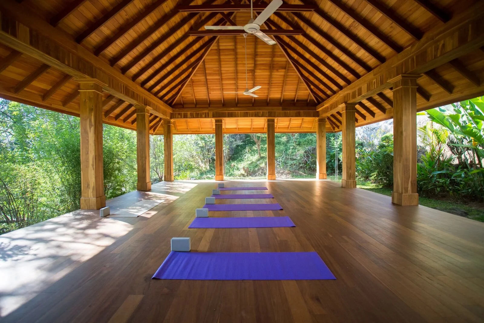 A weekend trip to Rukgala Retreat from The Sapphire Sri Lanka, a luxury rehab centre in Sri Lanka