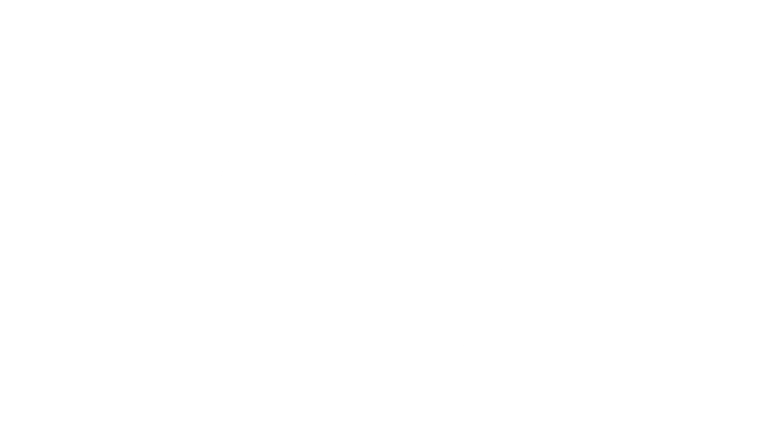 VW logo