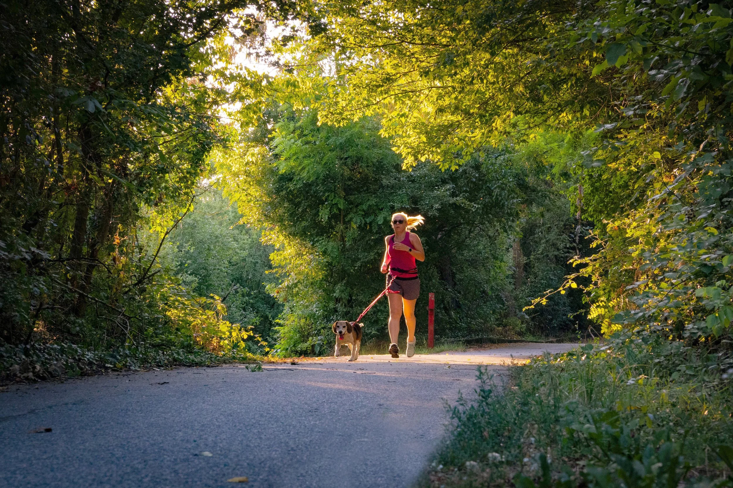 A woman jogging with her dog on a trail surrounded by dense trees and green foliage during sunlight.