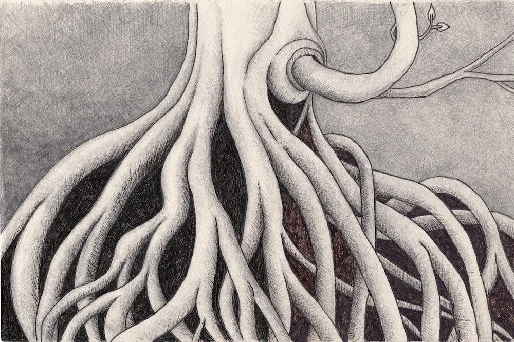 "Park tree roots", 2018, Albert Park.
Pencil and ink pen in an A5 notebook.
Artist's collection.