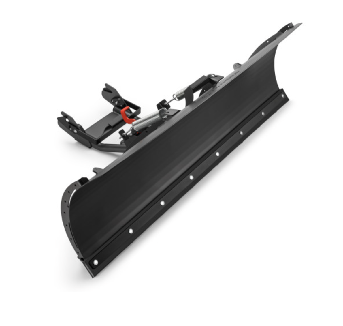 image (1).png