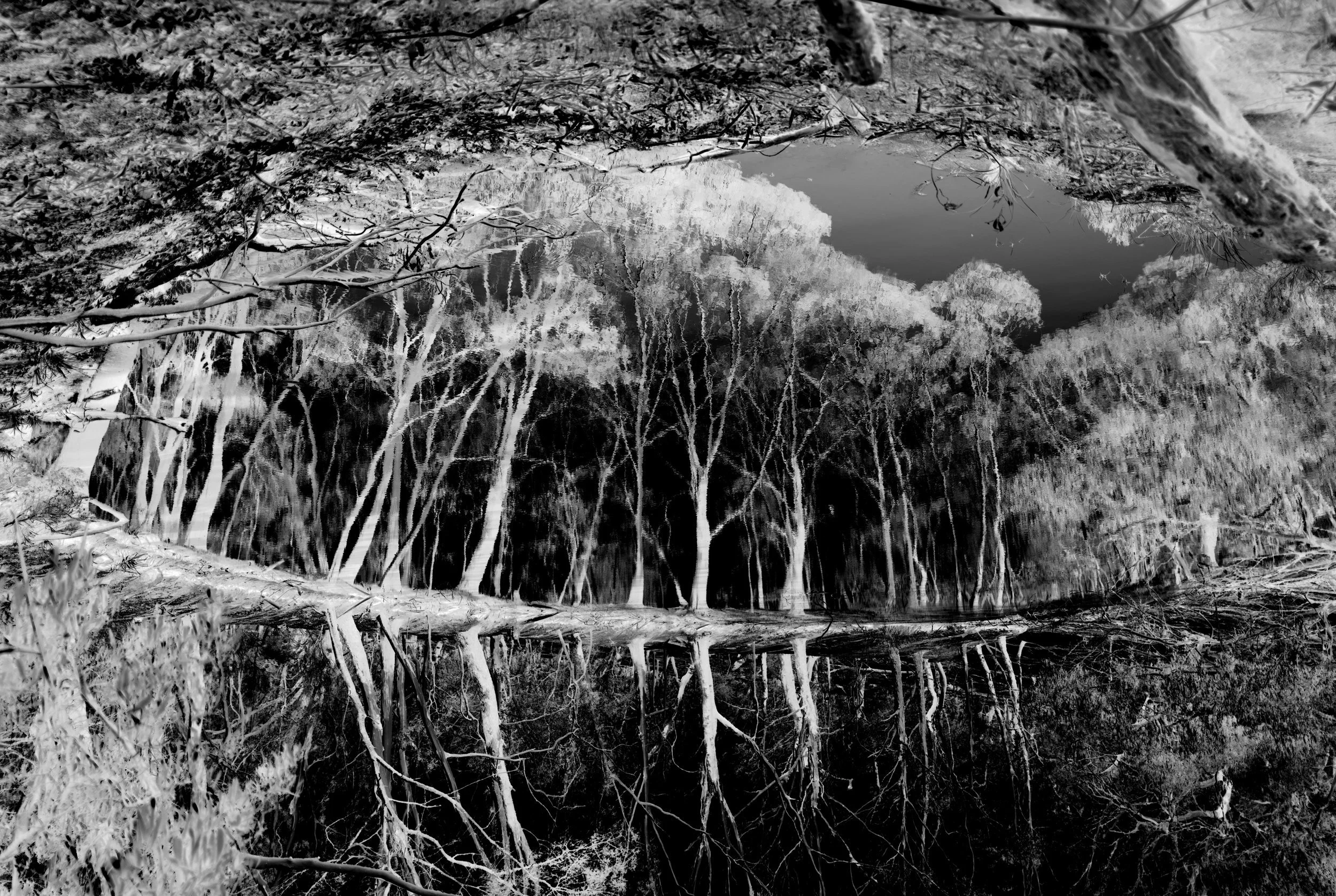 Remains+to+be+See+Leanganook+#2+2.jpeg