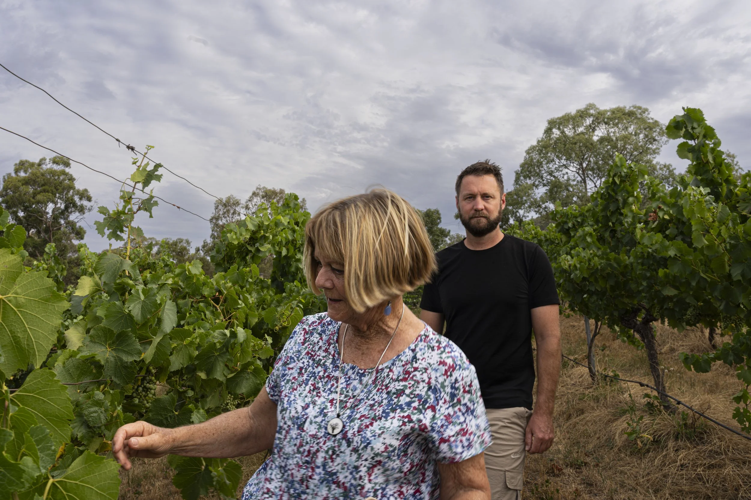 Barbara and Quinn Livingstone – Winemakers
