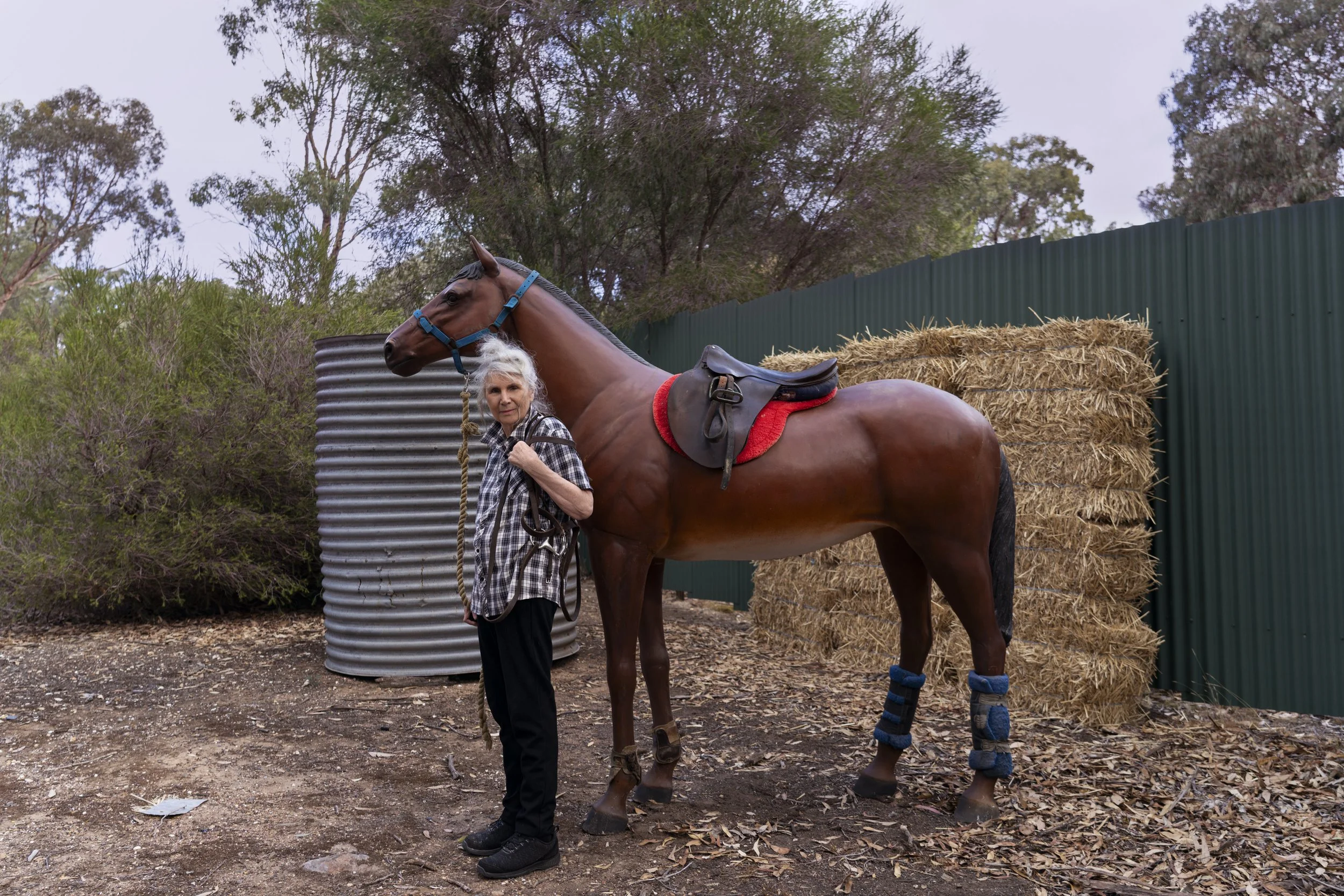 Julie Millowick OAM – Photographer