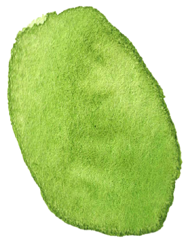 Tache d'aquarelle vert pomme