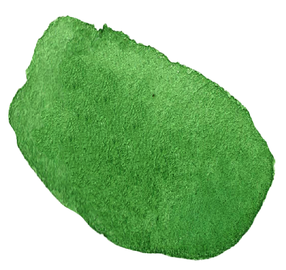 Tache d'aquarelle verte