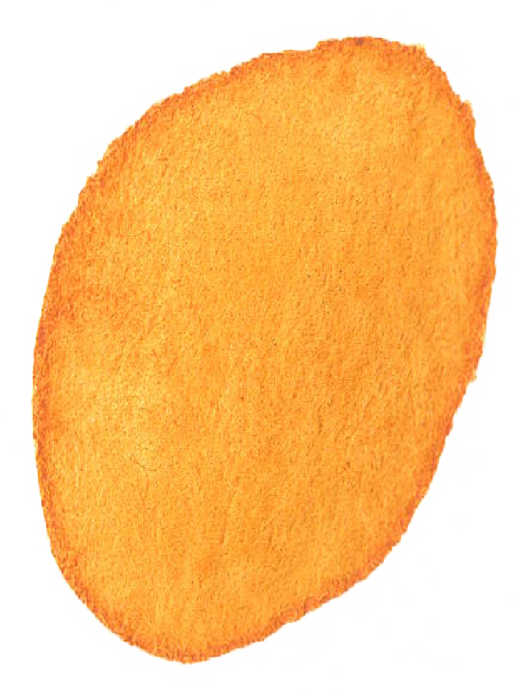 Tache d'aquarelle orange