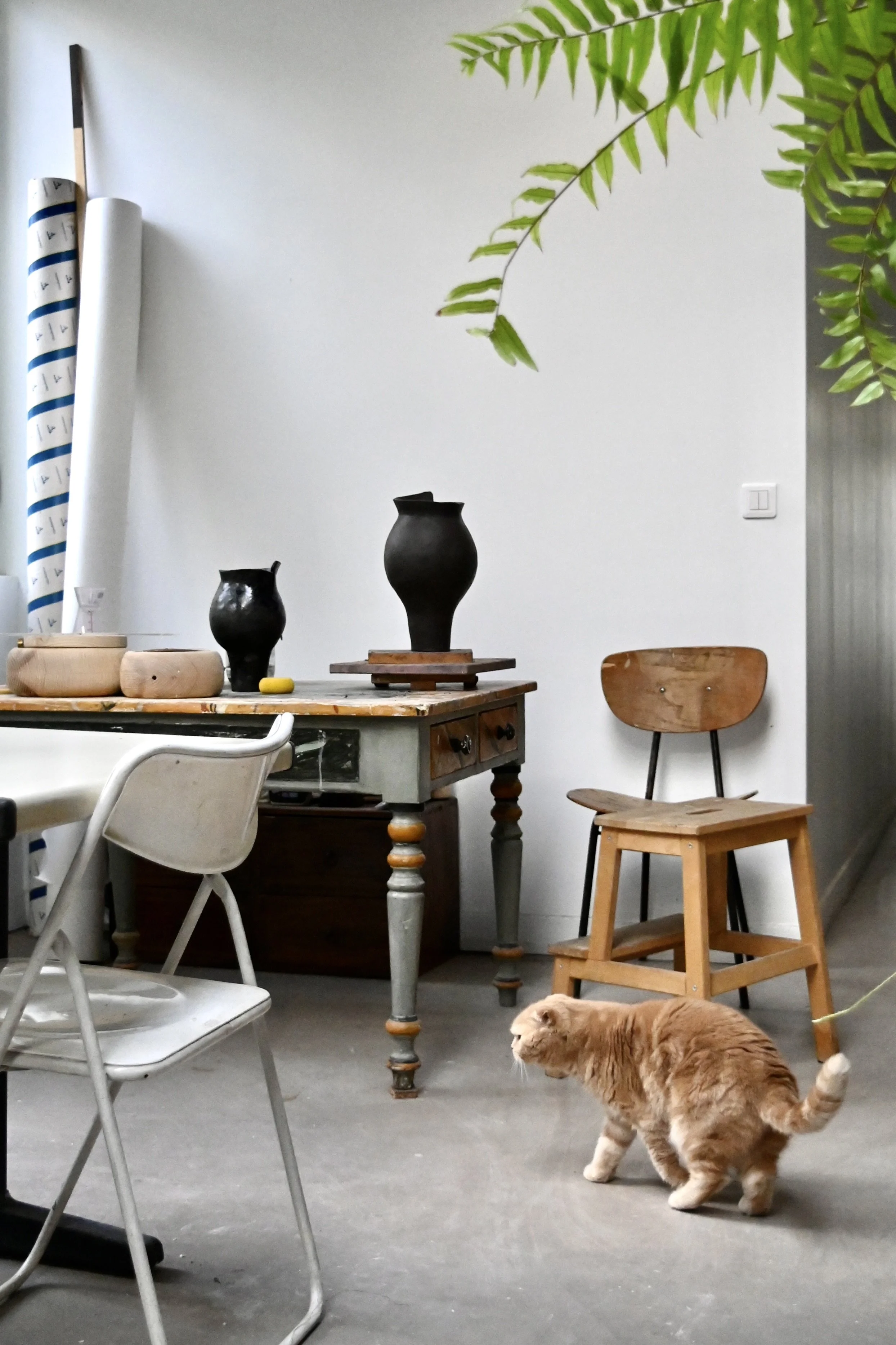 Une pièce intérieure avec une table en bois, décorée de plusieurs vases noirs, un fauteuil blanc, une chaise en bois et un chat roux qui marche.