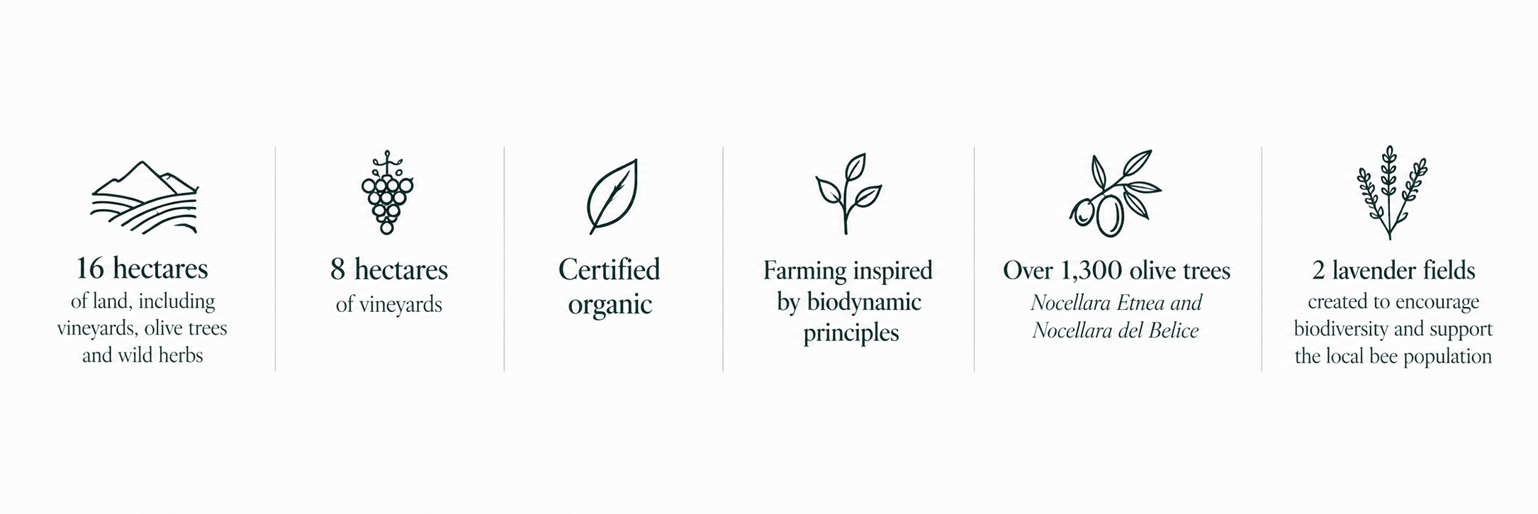 Infographic showing details of a farm with 16 hectares of land, including vineyards, olive trees, and wild herbs. Features certified organic farming inspired by biodynamic principles, over 1,300 olive trees, and 2 lavender fields for biodiversity and supporting local bees.