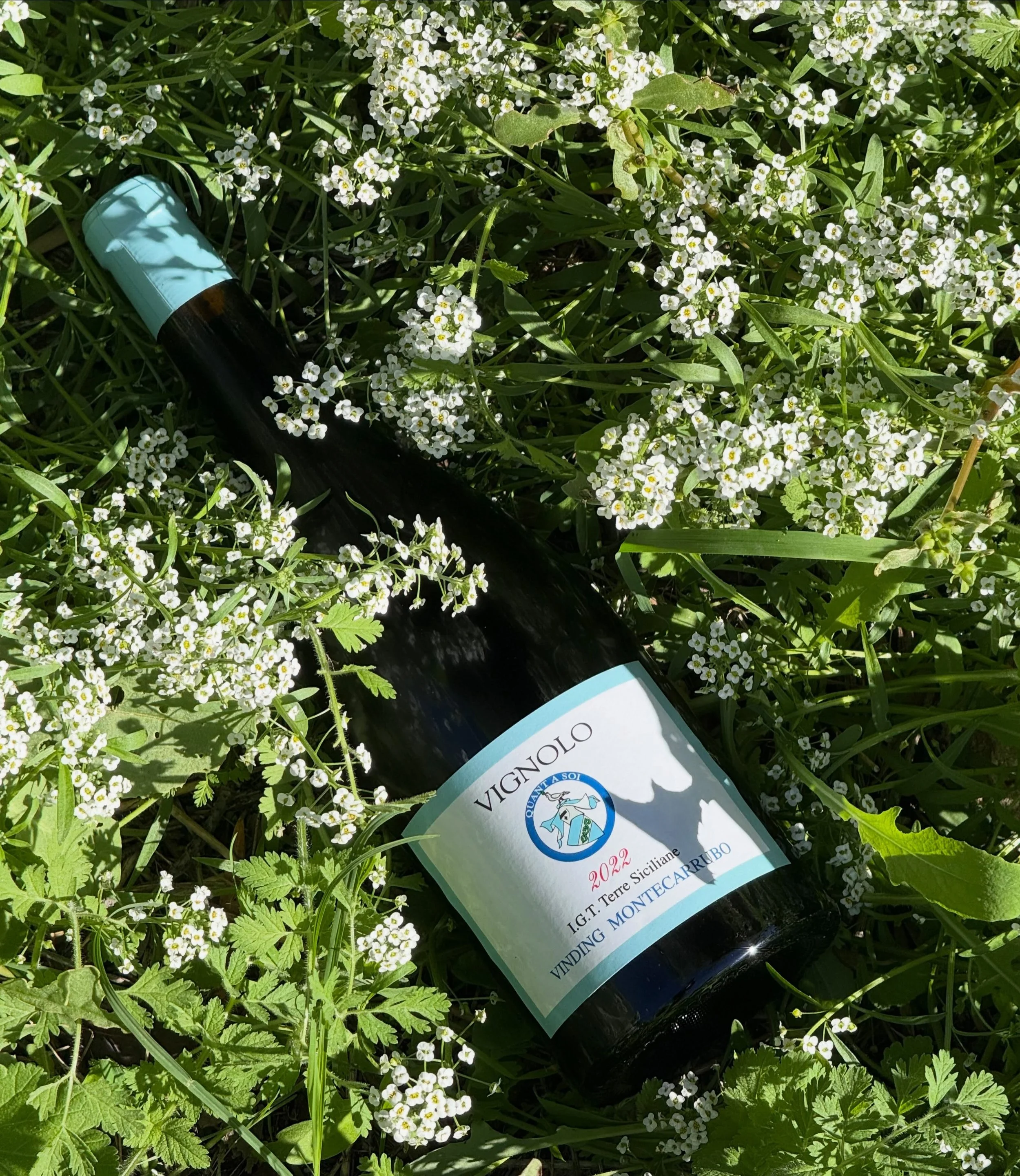 Vignolo 2022 &bull; only 80 bottles remain available. 

Single vineyard Syrah, with dark fruit, Mediterranean herbs, fine tannins and distinctive saline finish. 🍇🌱

For availability and shipping enquiries: info@montecarrubo.com

#syrahwine #sicilia