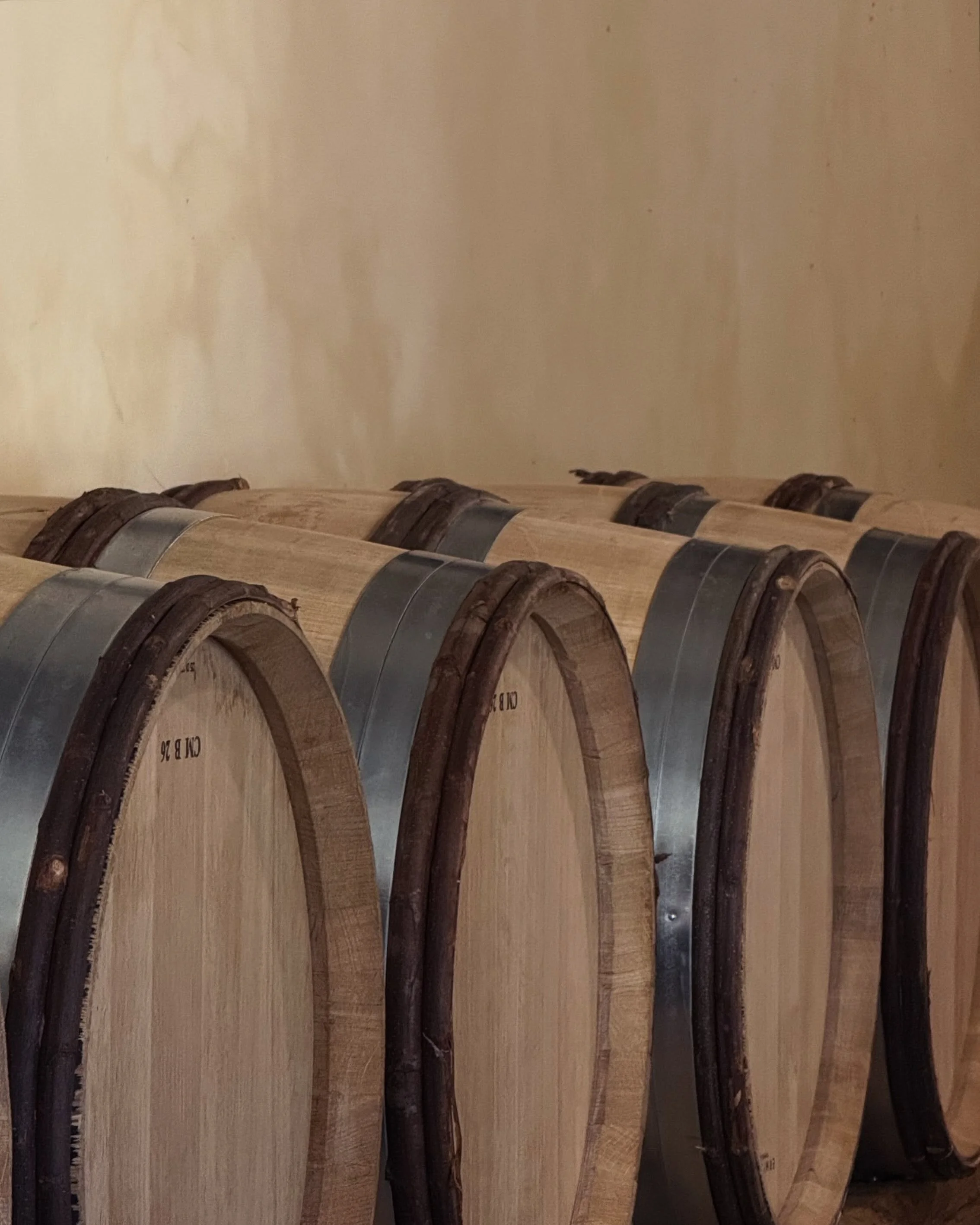 From vineyard to the cellar, every vintage is shaped by a sequence of small decisions. In the cellar, the wines rest in French oak barrels, where time, restraint and patience become part of the process 🍇 🍷 

#montecarrubo #sicilianwine #vineyardlif