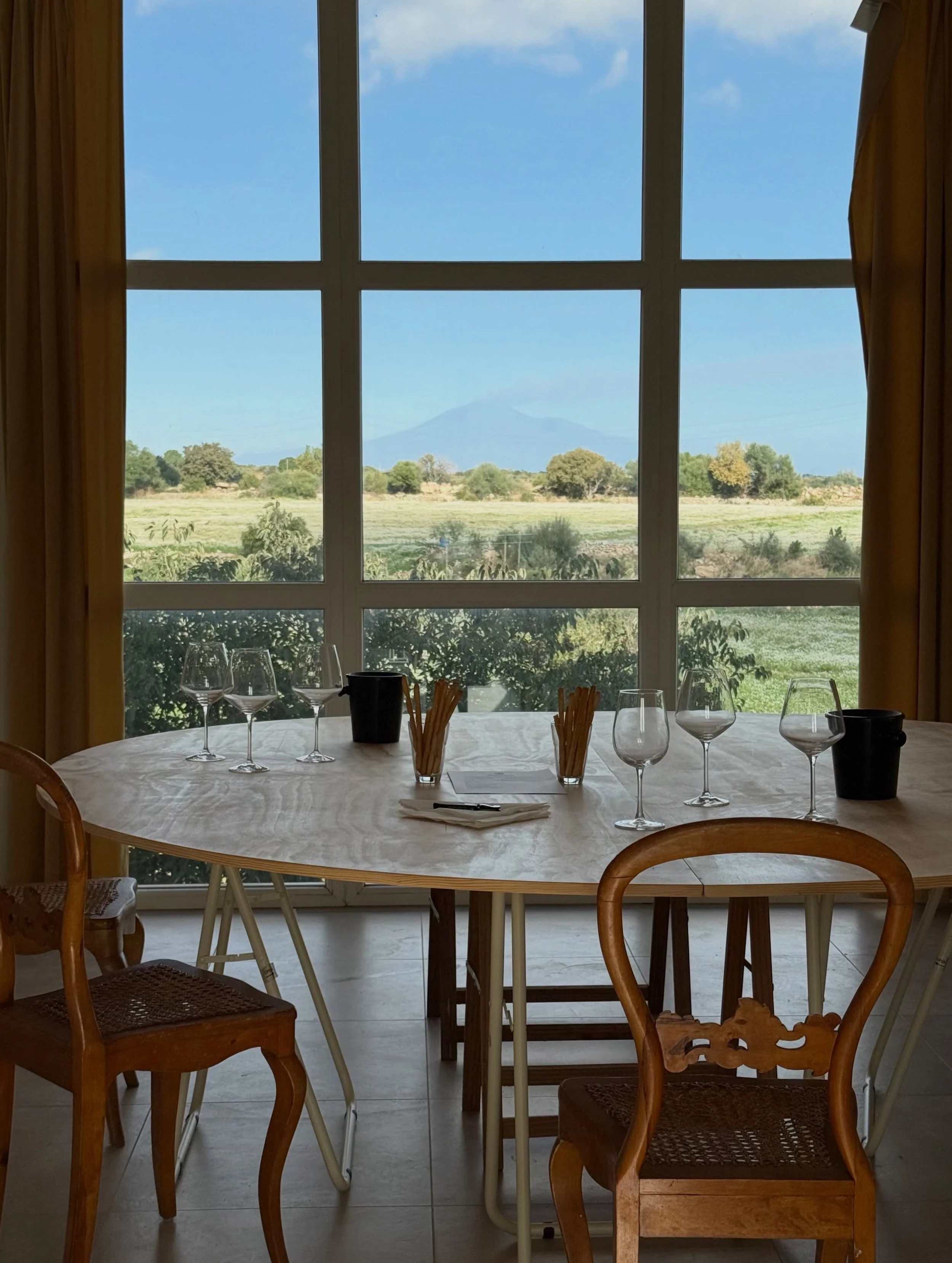 The stunning view of our private tastings 🥂

Overlooking Mount Etna, this is where we welcome guests to discover Montecarrubo through our wines, vineyards and stories. 🍇

Visits and tastings are available by prior appointment only.

For booking, pl