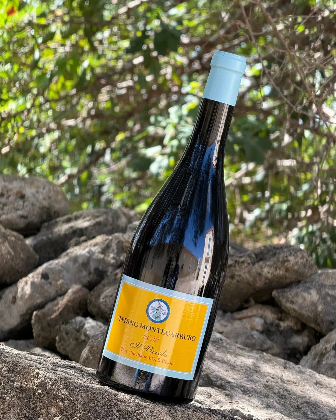 A dark wine bottle with a light blue capsule, placed on rocks outdoors, with a label reading 'Vinding Monte Carrubo 2022 Il Piccolo Terre Siciliane I.G.T. Rosso' and a crest of a knight on horseback.