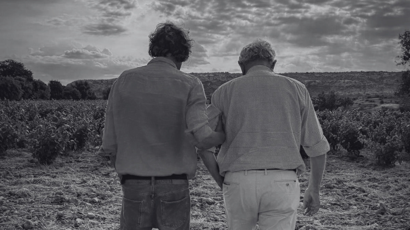 Two elderly men walking hand in hand through a vineyard in a rural landscape under a cloudy sky.