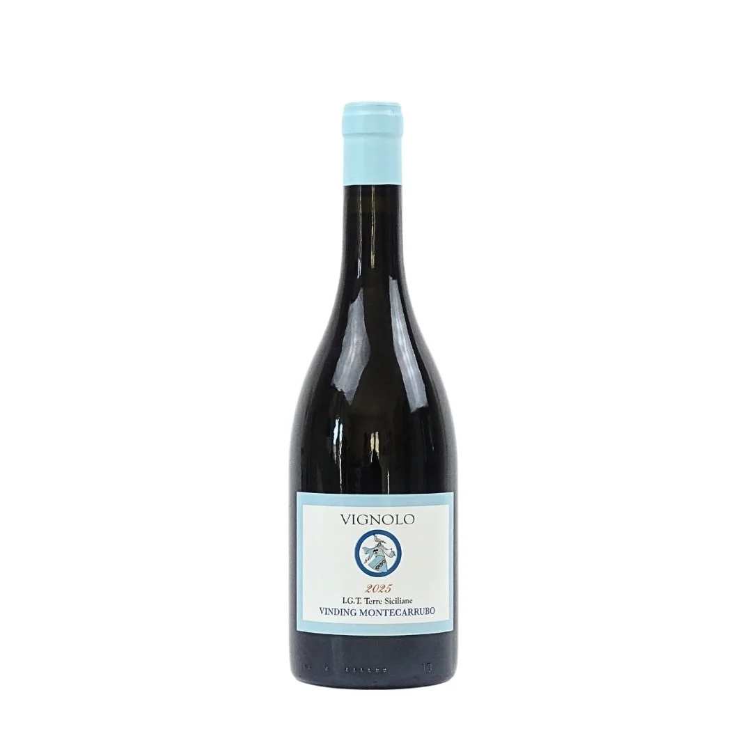 A bottle of red wine with a light blue cap and label, labeled 'Vignolo 2025, Vinding Montecarrubo'.