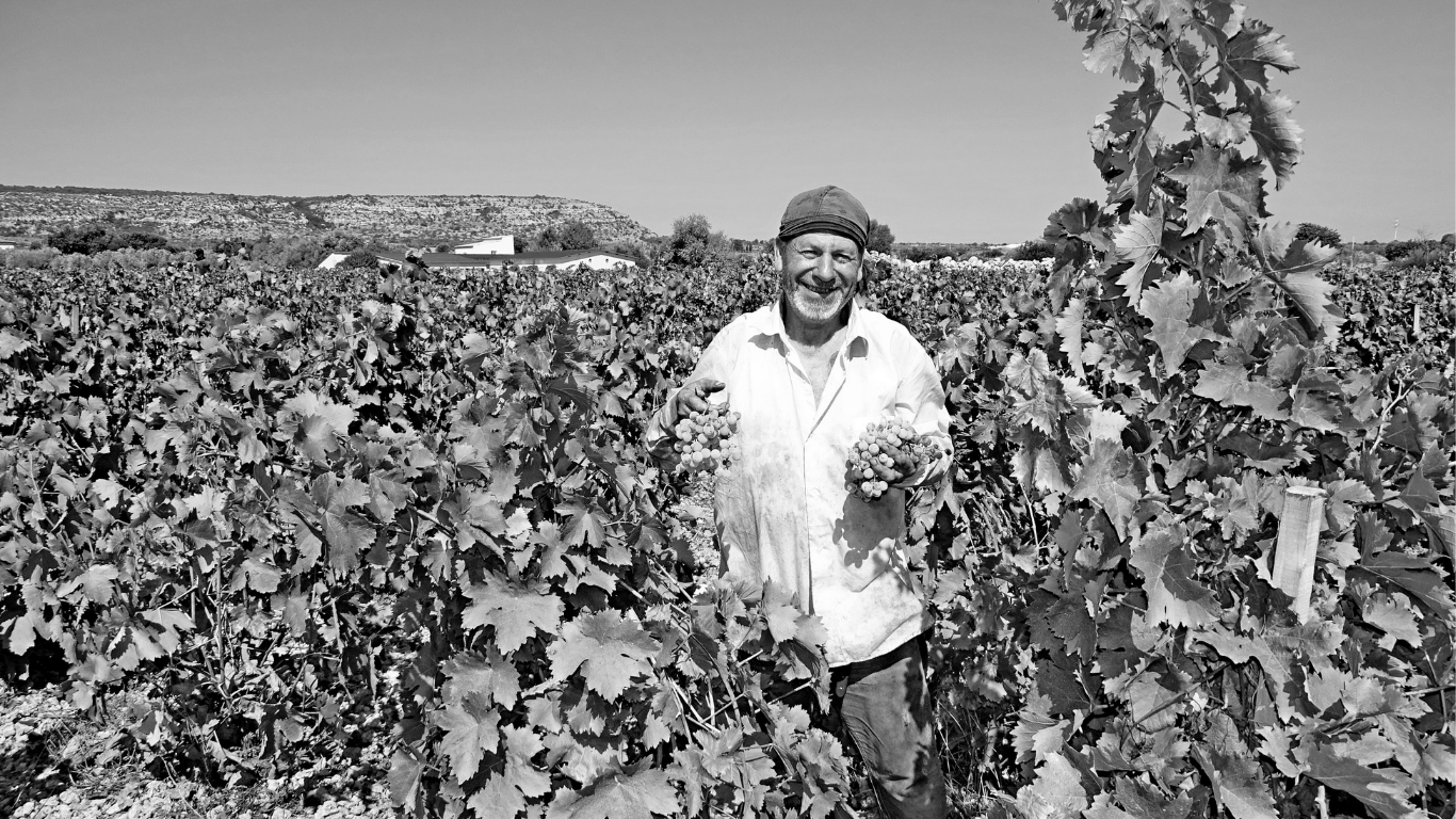 A man smiling in a vineyard, holding clusters of grapes, with grapevines and hills in the background.
