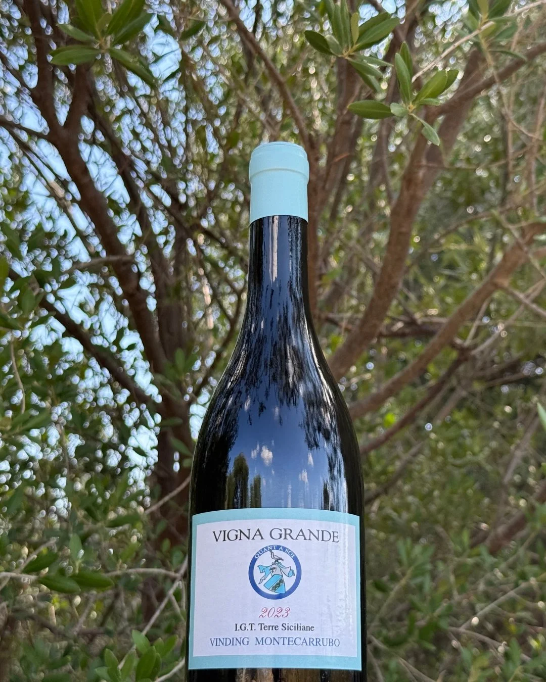 A bottle of red wine labeled Vigna Grande 2023 from Vinding Montecarrubo, with trees and leaves in the background.