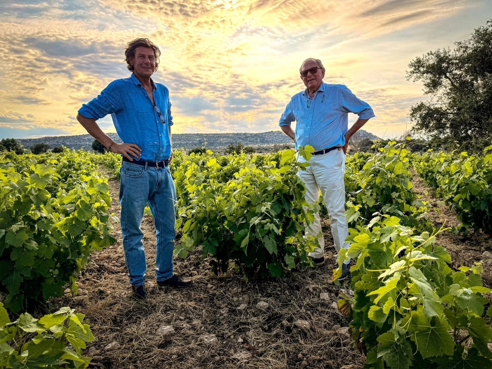 Two men standing in a vineyard during sunset, surrounded by green grapevines, with a scenic landscape and cloudy sky in the background.