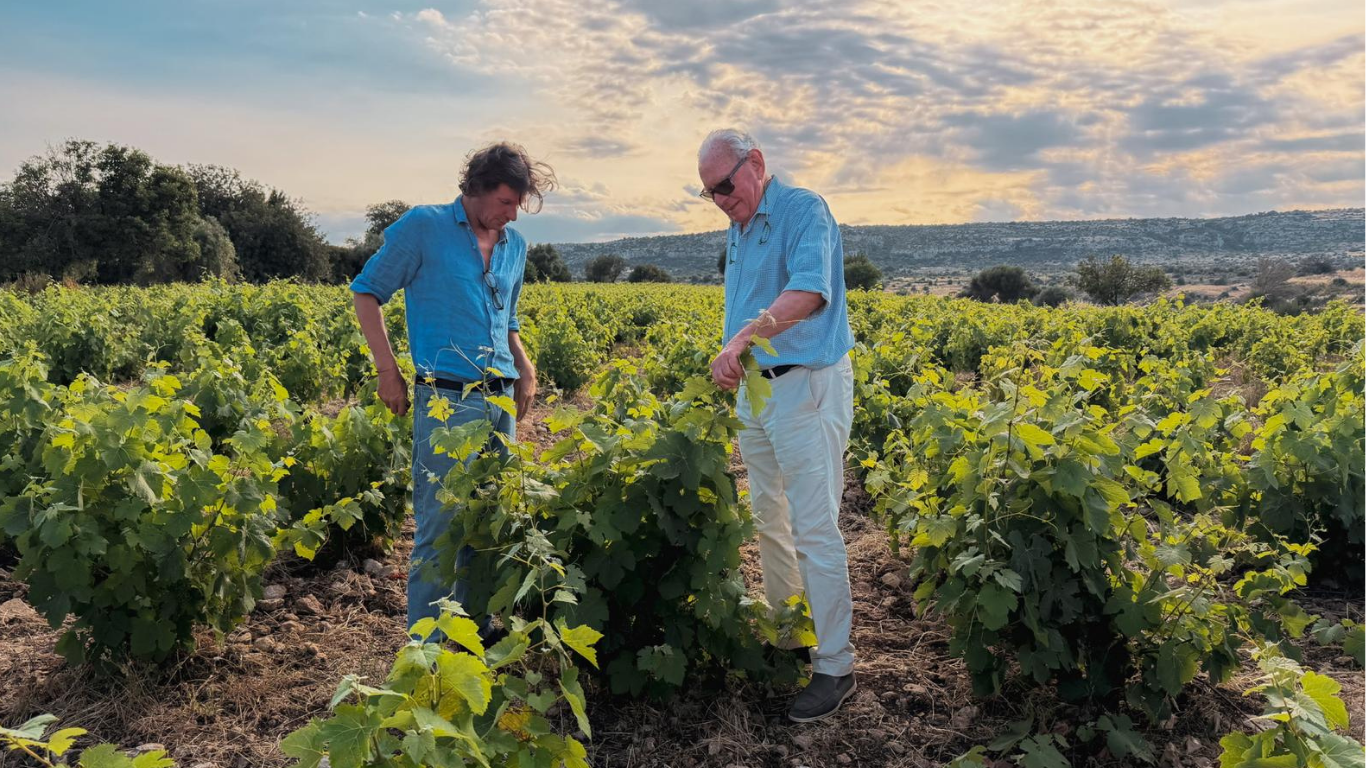 Two men inspecting grapevines in a vineyard at sunset.