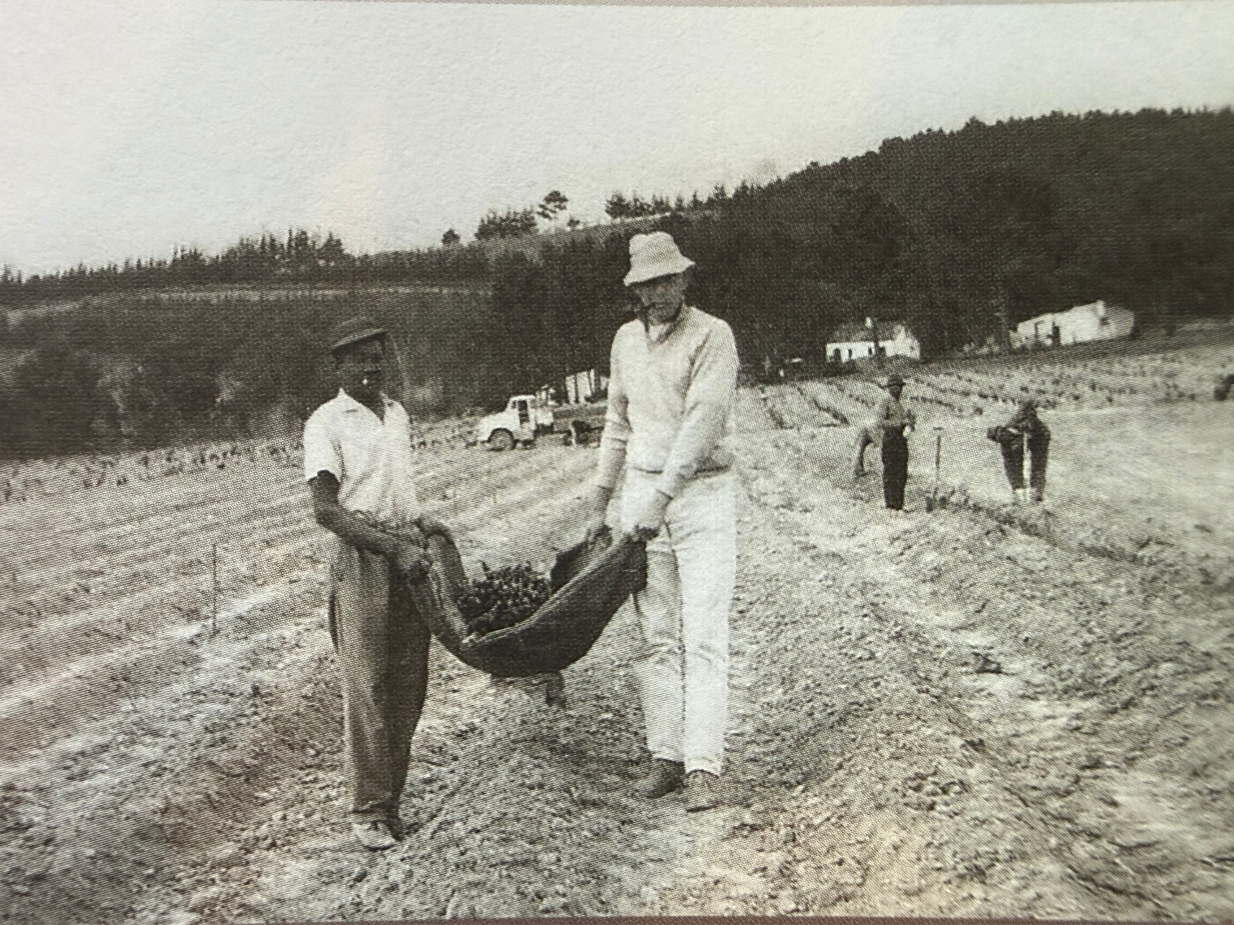 Black-and-white photograph of a rural landscape with two men walking and pulling a wooden cart, with horses attached. There are small buildings in the background, and the scene is set against a wooded hill.